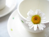 cup01.jpg