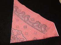 バンダナ三角巾02
