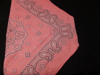 バンダナ三角巾04